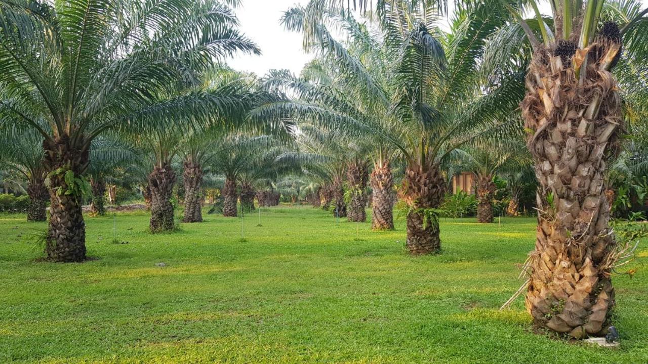 Palm Pran Resort Pranburi Buitenkant foto