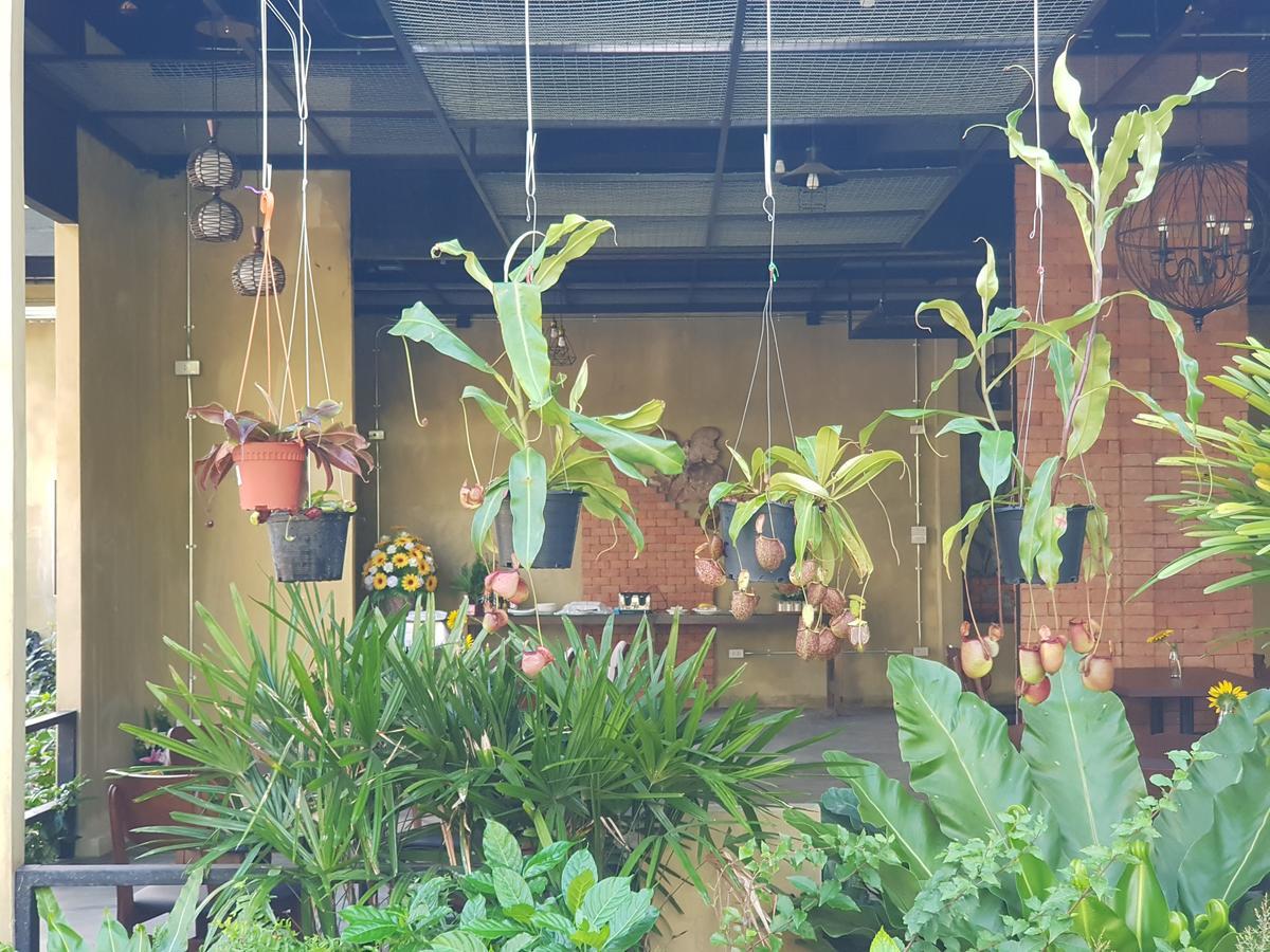 Palm Pran Resort Pranburi Buitenkant foto